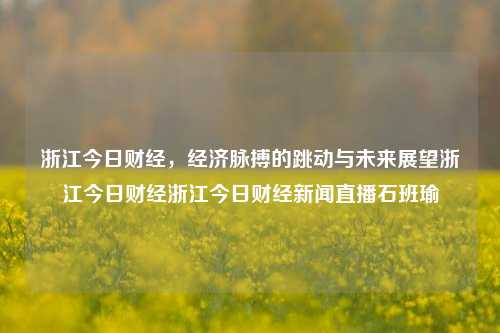 浙江今日财经，经济脉搏的跳动与未来展望浙江今日财经浙江今日财经新闻直播石班瑜