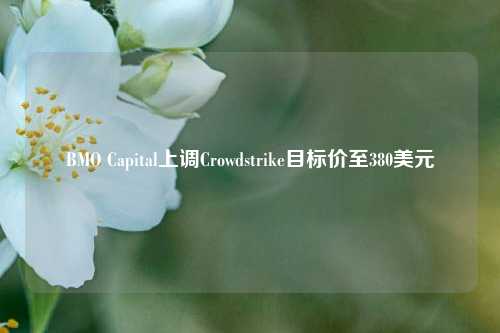 BMO Capital上调Crowdstrike目标价至380美元