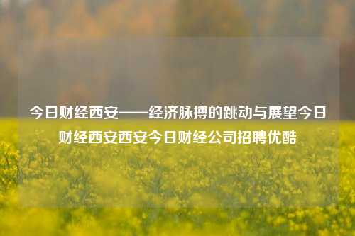 今日财经西安——经济脉搏的跳动与展望今日财经西安西安今日财经公司招聘优酷