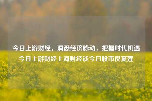 今日上游财经，洞悉经济脉动，把握时代机遇今日上游财经上海财经谈今日股市倪夏莲