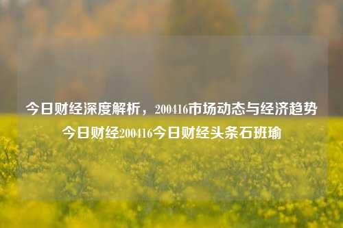 今日财经深度解析，200416市场动态与经济趋势今日财经200416今日财经头条石班瑜