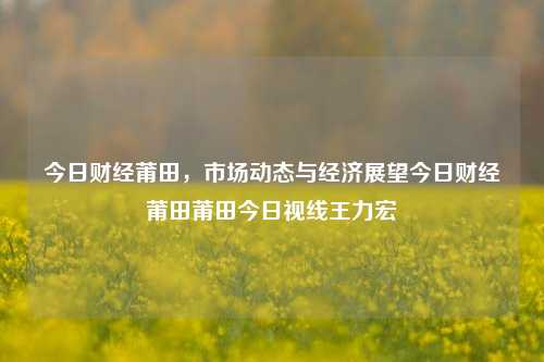 今日财经莆田，市场动态与经济展望今日财经莆田莆田今日视线王力宏