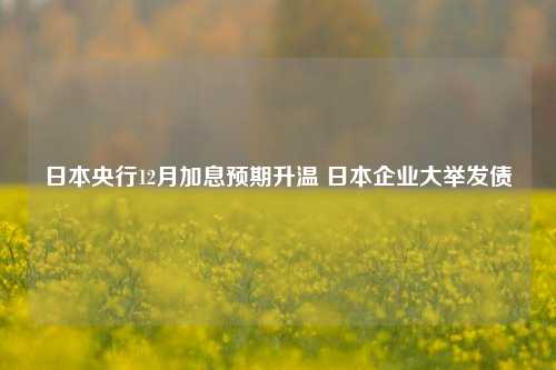 日本央行12月加息预期升温 日本企业大举发债