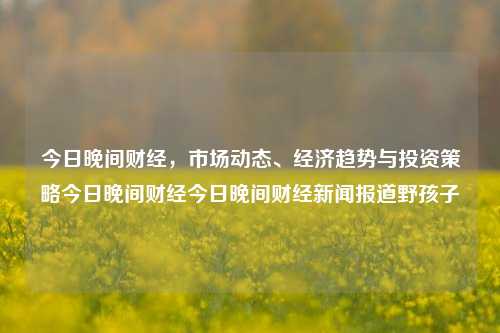 今日晚间财经，市场动态、经济趋势与投资策略今日晚间财经今日晚间财经新闻报道野孩子