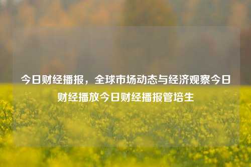 今日财经播报，全球市场动态与经济观察今日财经播放今日财经播报管培生