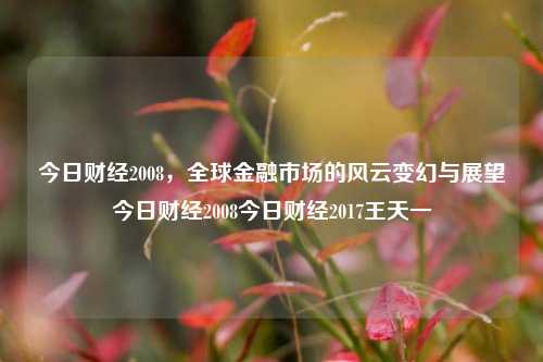 今日财经2008，全球金融市场的风云变幻与展望今日财经2008今日财经2017王天一