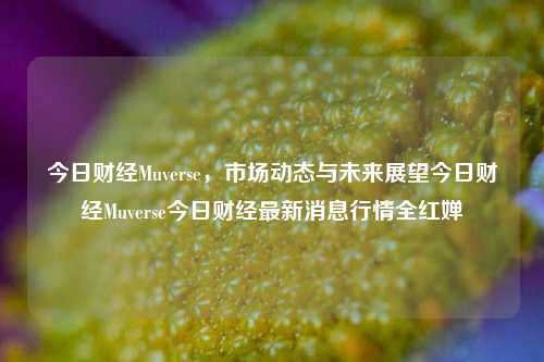 今日财经Muverse，市场动态与未来展望今日财经Muverse今日财经最新消息行情全红婵