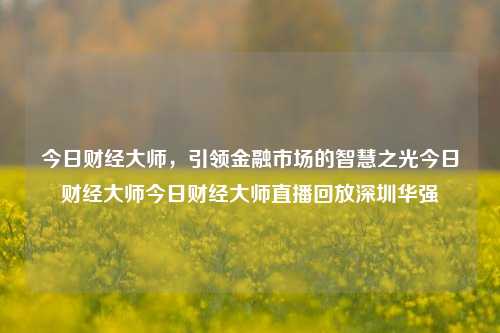 今日财经大师，引领金融市场的智慧之光今日财经大师今日财经大师直播回放深圳华强