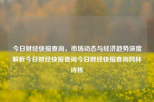 今日财经快报查询，市场动态与经济趋势深度解析今日财经快报查询今日财经快报查询网林诗栋