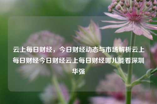 云上每日财经，今日财经动态与市场解析云上每日财经今日财经云上每日财经哪儿能看深圳华强