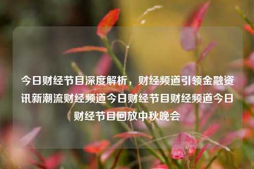 今日财经节目深度解析，财经频道引领金融资讯新潮流财经频道今日财经节目财经频道今日财经节目回放中秋晚会