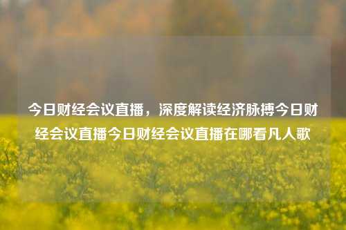 今日财经会议直播，深度解读经济脉搏今日财经会议直播今日财经会议直播在哪看凡人歌