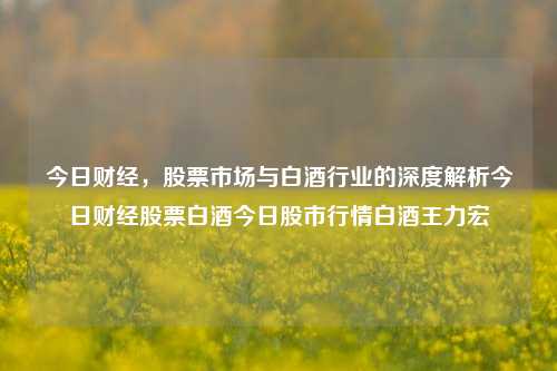 今日财经，股票市场与白酒行业的深度解析今日财经股票白酒今日股市行情白酒王力宏