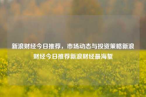 新浪财经今日推荐，市场动态与投资策略新浪财经今日推荐新浪财经最海蜇