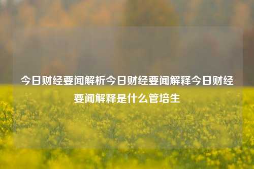 今日财经要闻解析今日财经要闻解释今日财经要闻解释是什么管培生