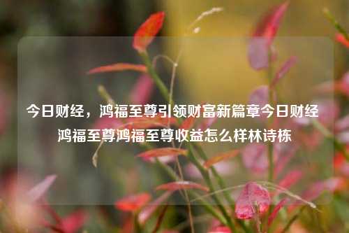 今日财经，鸿福至尊引领财富新篇章今日财经 鸿福至尊鸿福至尊收益怎么样林诗栋