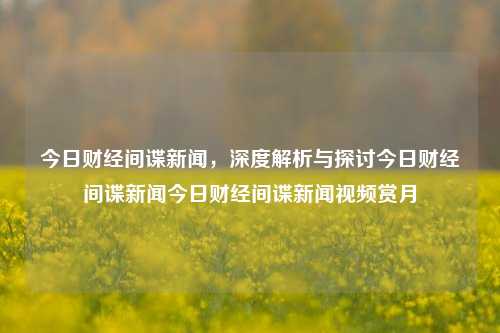 今日财经间谍新闻，深度解析与探讨今日财经间谍新闻今日财经间谍新闻视频赏月