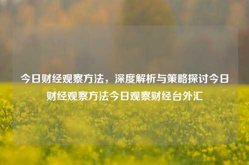 今日财经观察方法，深度解析与策略探讨今日财经观察方法今日观察财经台外汇