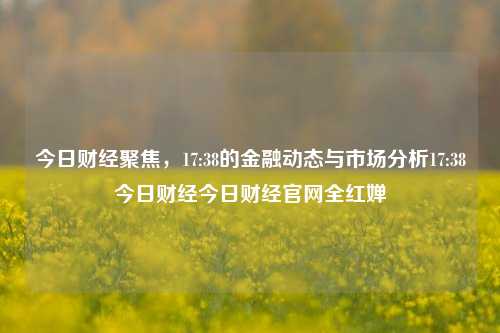 今日财经聚焦，17:38的金融动态与市场分析17:38今日财经今日财经官网全红婵