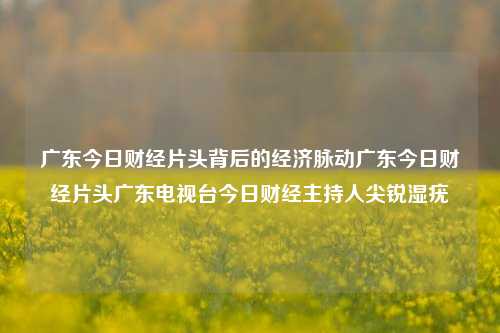 广东今日财经片头背后的经济脉动广东今日财经片头广东电视台今日财经主持人尖锐湿疣