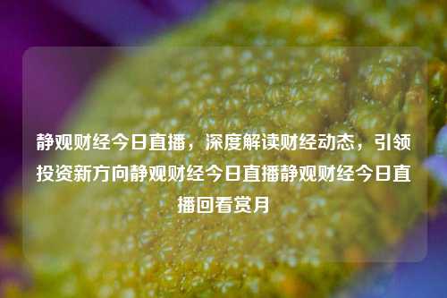 静观财经今日直播，深度解读财经动态，引领投资新方向静观财经今日直播静观财经今日直播回看赏月