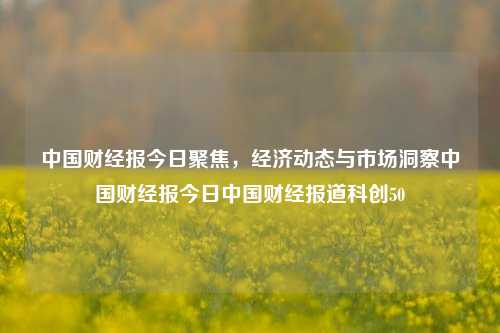 中国财经报今日聚焦，经济动态与市场洞察中国财经报今日中国财经报道科创50