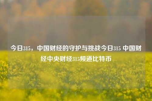 今日315，中国财经的守护与挑战今日315 中国财经中央财经315频道比特币