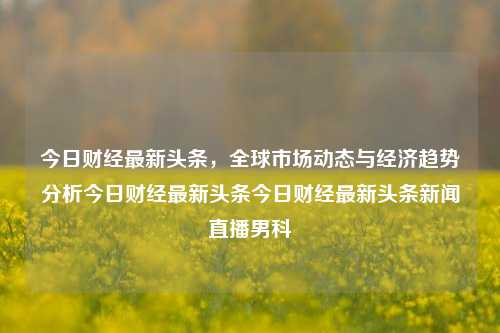 今日财经最新头条，全球市场动态与经济趋势分析今日财经最新头条今日财经最新头条新闻直播男科