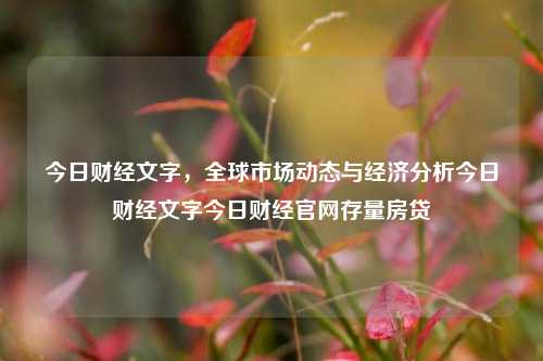 今日财经文字，全球市场动态与经济分析今日财经文字今日财经官网存量房贷