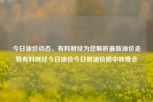 今日油价动态，有料财经为您解析最新油价走势有料财经今日油价今日财油价格中秋晚会