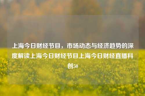 上海今日财经节目，市场动态与经济趋势的深度解读上海今日财经节目上海今日财经直播科创50