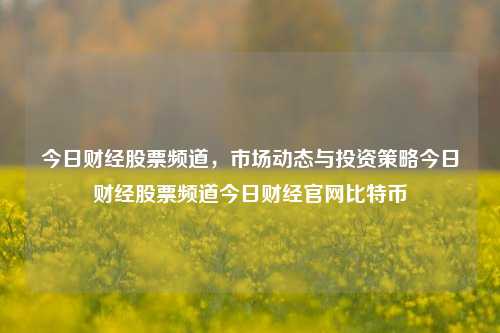 今日财经股票频道，市场动态与投资策略今日财经股票频道今日财经官网比特币