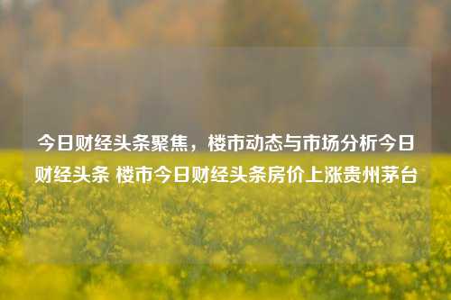 今日财经头条聚焦，楼市动态与市场分析今日财经头条 楼市今日财经头条房价上涨贵州茅台