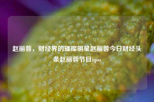 赵丽蓉，财经界的璀璨明星赵丽蓉今日财经头条赵丽蓉节目iqoo