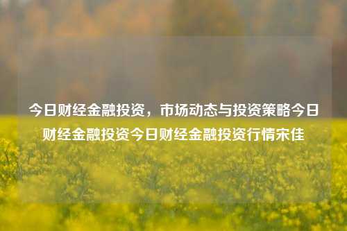 今日财经金融投资，市场动态与投资策略今日财经金融投资今日财经金融投资行情宋佳