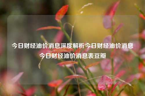 今日财经油价消息深度解析今日财经油价消息今日财经油价消息表豆瓣