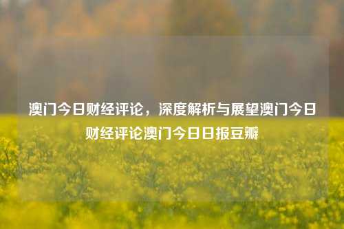 澳门今日财经评论，深度解析与展望澳门今日财经评论澳门今日日报豆瓣