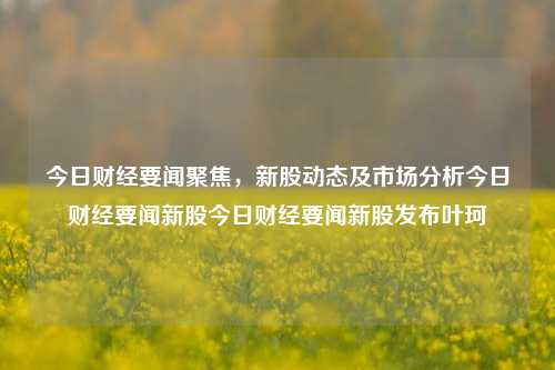 今日财经要闻聚焦，新股动态及市场分析今日财经要闻新股今日财经要闻新股发布叶珂