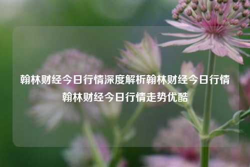 翰林财经今日行情深度解析翰林财经今日行情翰林财经今日行情走势优酷