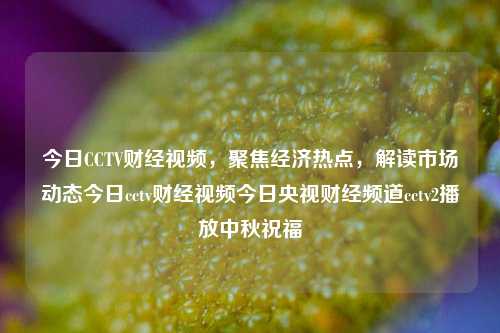 今日CCTV财经视频，聚焦经济热点，解读市场动态今日cctv财经视频今日央视财经频道cctv2播放中秋祝福