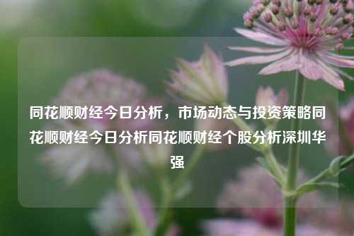 同花顺财经今日分析，市场动态与投资策略同花顺财经今日分析同花顺财经个股分析深圳华强