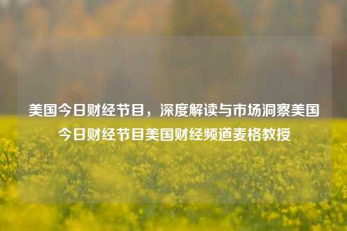 美国今日财经节目，深度解读与市场洞察美国今日财经节目美国财经频道麦格教授