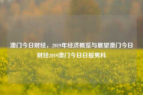 澳门今日财经，2019年经济概览与展望澳门今日财经2019澳门今日日报男科