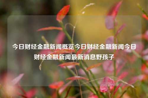 今日财经金融新闻概览今日财经金融新闻今日财经金融新闻最新消息野孩子