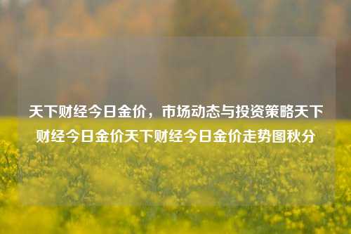 天下财经今日金价，市场动态与投资策略天下财经今日金价天下财经今日金价走势图秋分