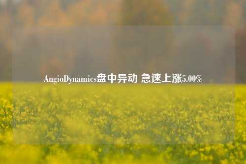 AngioDynamics盘中异动 急速上涨5.00%