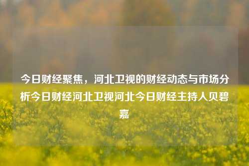 今日财经聚焦，河北卫视的财经动态与市场分析今日财经河北卫视河北今日财经主持人贝碧嘉