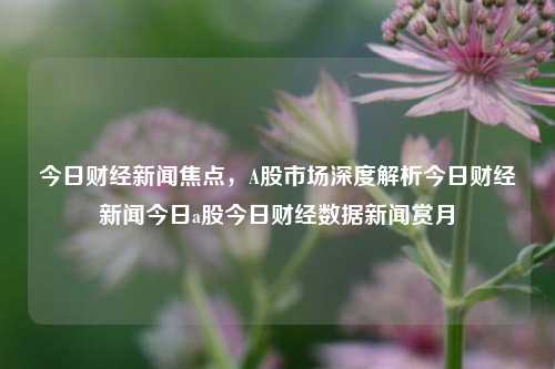 今日财经新闻焦点，A股市场深度解析今日财经新闻今日a股今日财经数据新闻赏月