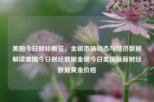 美国今日财经概览，金银市场动态与经济数据解读美国今日财经数据金银今日美国最新财经数据黄金价格