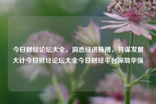 今日财经论坛大全，洞悉经济脉搏，共谋发展大计今日财经论坛大全今日财经平台深圳华强